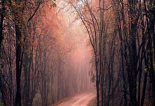 5球5助攻，恩佐职业生涯首次单赛季联赛直接参与进球上双.