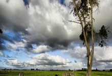 吐槽郑钦文对手相貌，美国解说被无限期停职中新体坛.