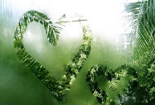 竞者 ｜ 他是中国田径领军人，亚洲纪录保持者，南京世锦赛与奖牌擦肩.