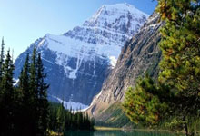 亚星官网：被嘲最矮奥运冠军，身高1米37无人追，退役后2次发育的她今如何.