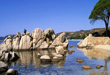 5球5助攻，恩佐职业生涯首次单赛季联赛直接参与进球上双.